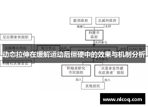 动态拉伸在缓解运动后僵硬中的效果与机制分析